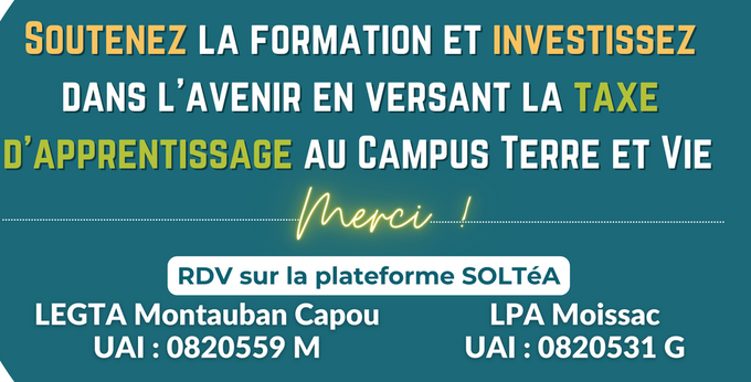 csm_Taxe_Apprentissage_90bf0b5fb1.png